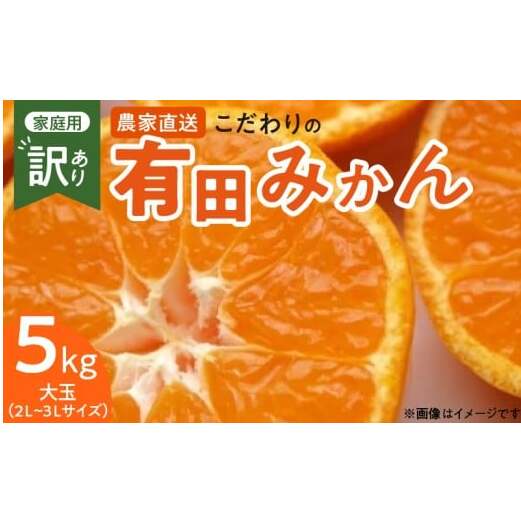 ZT6300_こだわりの 有田みかん 大玉 5kg (2L〜3Lサイズ)【訳あり 家庭用】和歌山県湯浅町9000果物・フルーツみかん・柑橘類