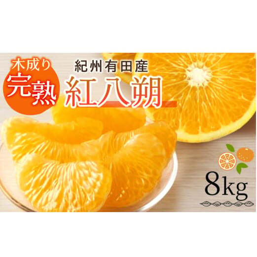 G7105_【2026年先行予約】紀州有田産 木成り完熟 紅八朔 8kg和歌山県湯浅町17000果物・フルーツみかん・柑橘類