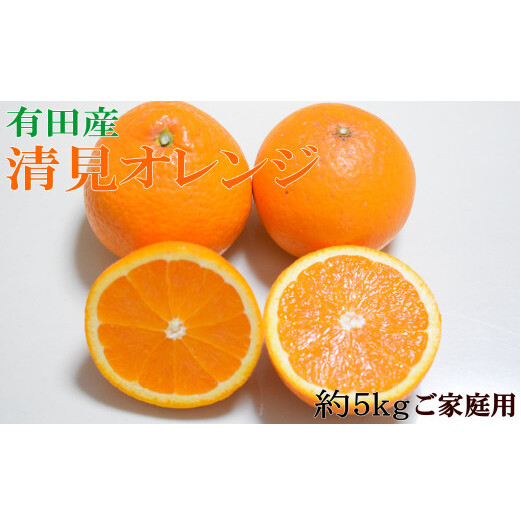 ZD7006_【2026年先行予約】【ご家庭用】濃厚有田産清見オレンジ約5kg(サイズおまかせ)和歌山県湯浅町13000果物・フルーツみかん・柑橘類
