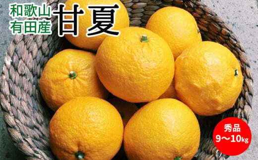 U6304_【2026年先行予約】甘夏 秀品 約9〜10kg 和歌山県有田産和歌山県湯浅町17000果物・フルーツみかん・柑橘類