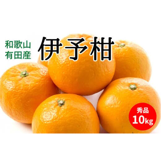 U6307_【2026年先行予約】伊予柑 秀品 約10kg 和歌山県有田産和歌山県湯浅町19000果物・フルーツみかん・柑橘類