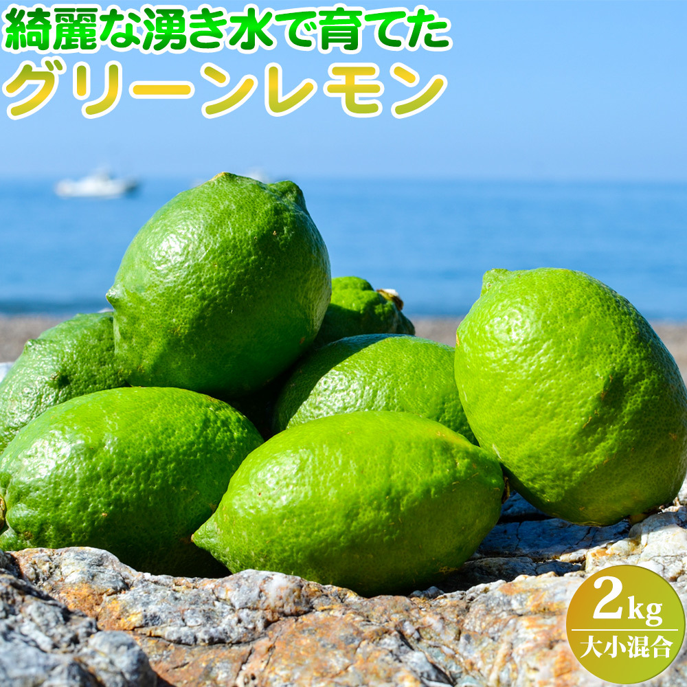 EA6100_綺麗な湧き水で育てたグリーンレモン 2kg (大小混合)和歌山県湯浅町8000果物・フルーツみかん・柑橘類