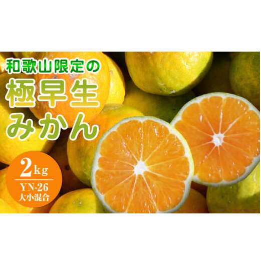 EA6103_和歌山県限定の極早生みかん 2kg (YN-26 大小混合)和歌山県湯浅町7000果物・フルーツみかん・柑橘類