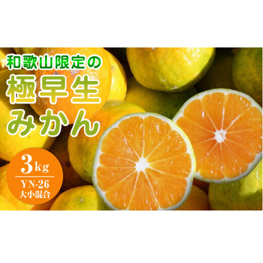 EA6104_和歌山県限定の極早生みかん 3kg (YN-26 大小混合)和歌山県湯浅町10000果物・フルーツみかん・柑橘類
