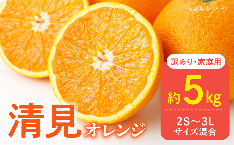 DZ6106_訳あり 家庭用 きよみ 清美オレンジ 和歌山 有田 2S〜3Lサイズ混合 5kg和歌山県湯浅町10000果物・フルーツみかん・柑橘類