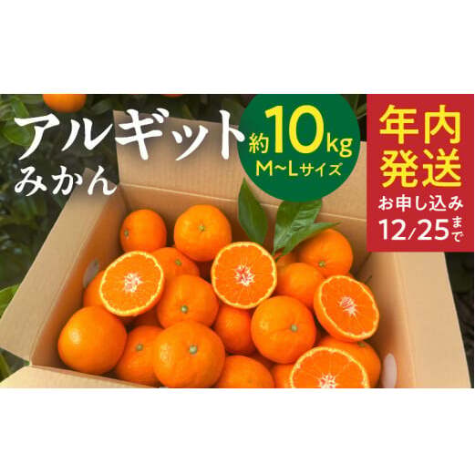 YA1005_完熟 アルギット みかん 10kg M〜L サイズ和歌山県湯浅町30000果物・フルーツみかん・柑橘類