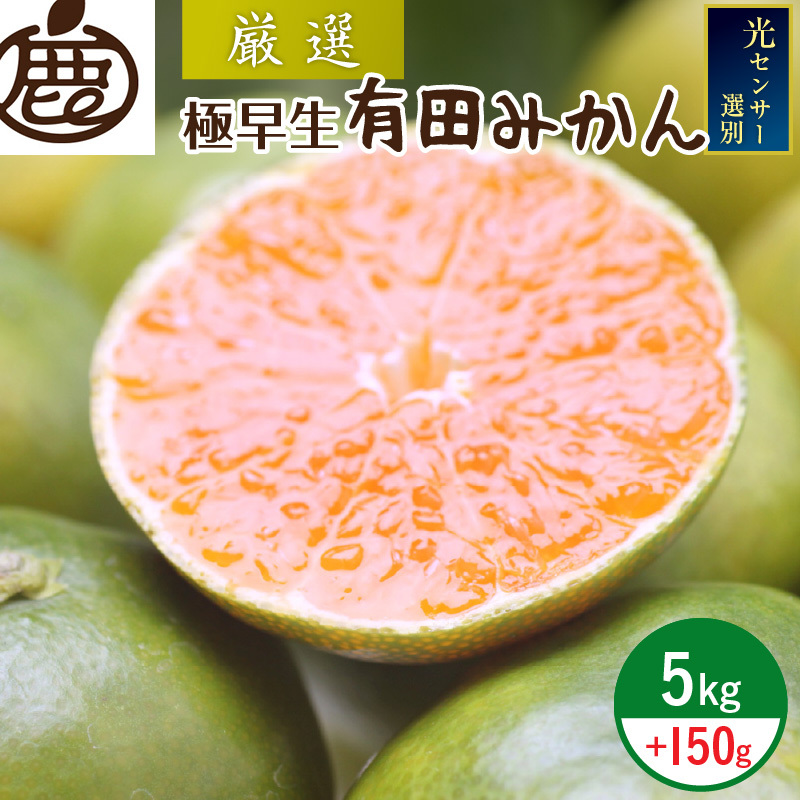 ZH7027_<9月より発送>厳選 極早生有田みかん5kg+150g(傷み補償分)【YN26・ゆら早生】【光センサー選果】和歌山県湯浅町14000果物・フルーツみかん・柑橘類