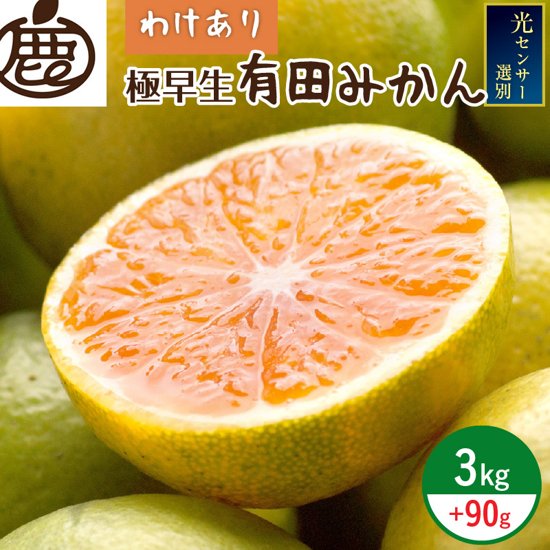 ZH7028_<9月より発送>家庭用 極早生有田みかん3kg+90g(傷み補償分)【YN26・ゆら早生】【訳あり】【光センサー選果】和歌山県湯浅町7000果物・フルーツみかん・柑橘類