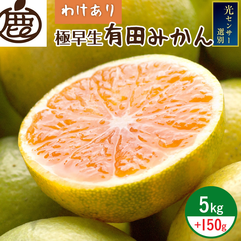 ZH7030_<9月より発送>家庭用 極早生有田みかん5kg+150g(傷み補償分)【YN26・ゆら早生】【訳あり】【光センサー選果】和歌山県湯浅町11000果物・フルーツみかん・柑橘類