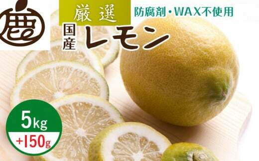 ZH7032_9蔭I 5kg+150giݕ⏞jya̎RLcYzyh܁EWAXsgpAS̍Yza̎R13000ʕEt[c݂Ek