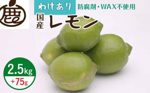 ZH7033_<9月より発送>家庭用 黒潮レモン2.5kg+75g(傷み補償分)【和歌山有田産】【防腐剤・WAX不使用、安心の国産レモン】【訳ありレモン】和歌山県湯浅町7000果物・フルーツみかん・柑橘