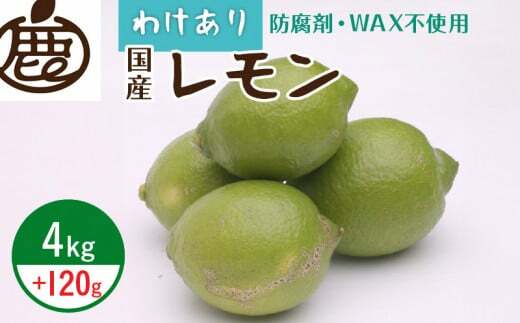 ZH7034_9蔭ƒp 4kg+120giݕ⏞jya̎RLcYzyh܁EWAXsgpAS̍Yzy󂠂背za̎R10000ʕEt[c݂Ek