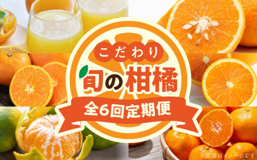 ZT6301_こだわり旬の柑橘定期便《全6回》固定月発送和歌山県湯浅町78000果物・フルーツみかん・柑橘類