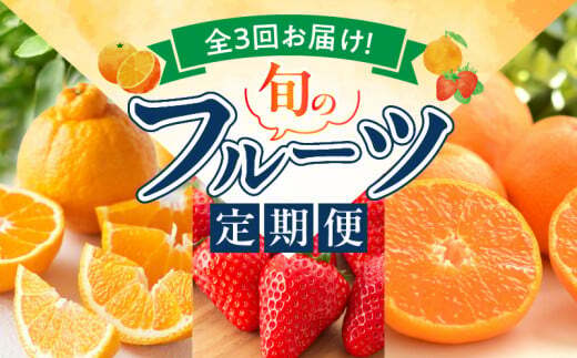 G60-T77_【定期便 全3回】紀州和歌山産旬のフルーツ定期便(田村みかん、いちご、紀州デコ)和歌山県湯浅町41000果物・フルーツいちご
