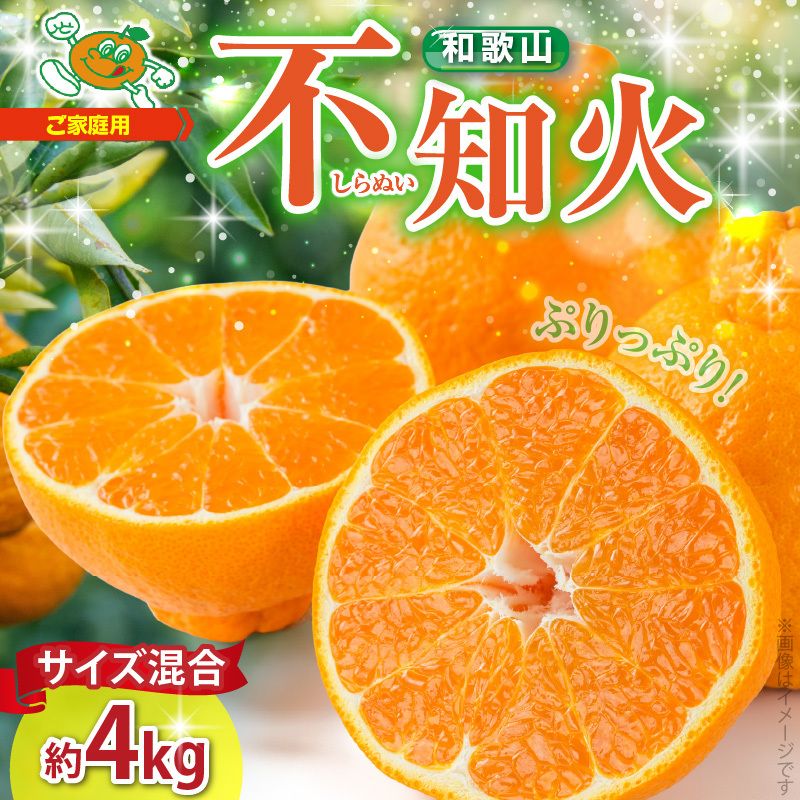 ZJ6094_【2026年先行予約】不知火(しらぬい) オレンジ みかん 家庭用 4kg和歌山県湯浅町11000果物・フルーツみかん・柑橘類