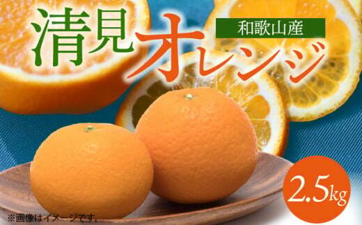 G7328_【2026年先行予約】とにかくジューシー 清見 オレンジ 2.5kg フルーツ 果物 柑橘 果実 甘い 果汁 ジューシー コク 柑橘の親 国産 食品 食べ物 魚鶴商店 平成の三大柑橘 お取り寄せ 和歌山