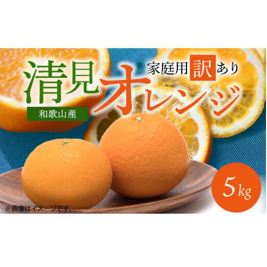 G7329_【2026年先行予約】紀州有田産 清見 オレンジ 5kg【家庭用 訳あり】タンゴール みかん 柑橘 フルーツ 果物 デザート 果実 お取り寄せ 和歌山県 湯浅町 有田 和歌山県湯浅町11000果物・フル