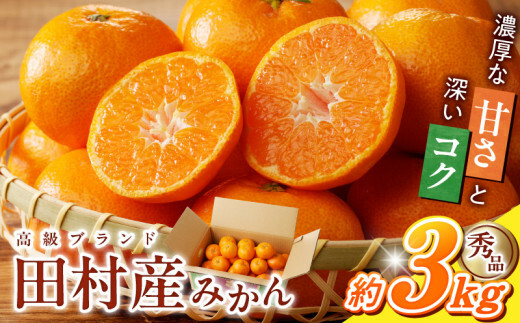 G7339_高級ブランド 秀品 紀州有田田村産みかん 3kg 濃厚 糖度 酸味 バランス 甘さ コク 国産 みかん 有田みかん フルーツ 果物 果実 デザート おやつ お取り寄せ お取り寄せフルーツ 和歌山県