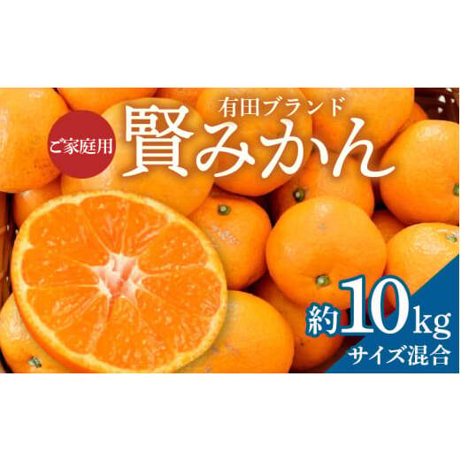 ZD92066_yƒpzLcuh ݂?10kgiTCYja̎R16000ʕEt[c݂Ek