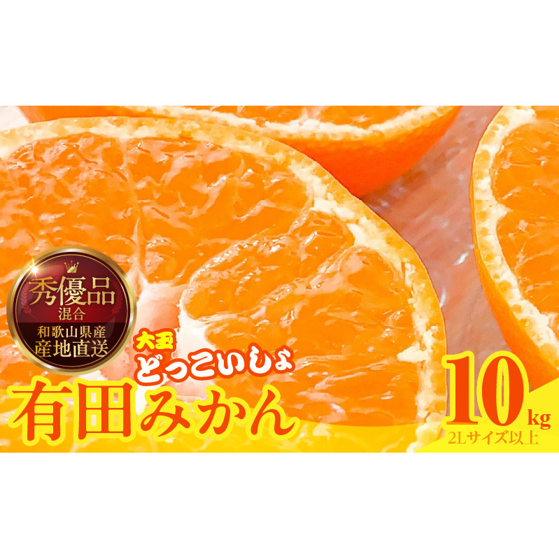 MK1034_みかん 大玉 どっこいしょ 箱込 10kg ( 内容量 9.2kg ) 2Lサイズ以上 秀品 優品 混合 有田みかん 和歌山県産 産地直送 【みかんの会】和歌山県湯浅町13000果物・フルーツみかん・柑橘類