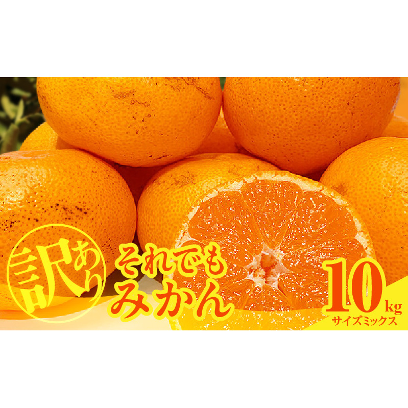 MK1036_訳あり それでも みかん 箱込 10kg ( 内容量 9.2kg ) サイズミックス B品 有田みかん 和歌山県産 産地直送 家庭用【みかんの会】 和歌山県湯浅町16000果物・フルーツみかん・柑橘類