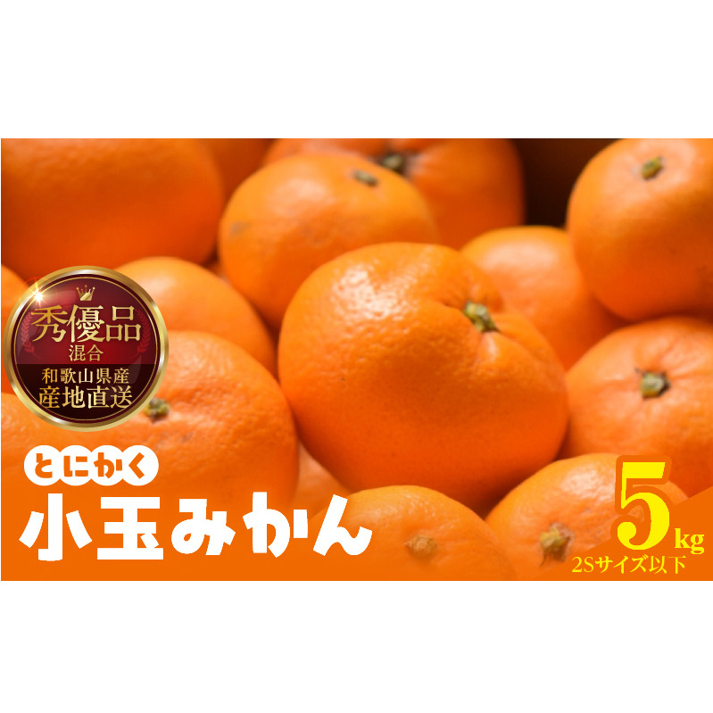 MK1040_みかん とにかく 小玉 箱込 5kg ( 内容量 4.4kg ) 2Sサイズ以下 秀品 優品 混合 有田みかん 和歌山県産 産地直送 【みかんの会】和歌山県湯浅町11000果物・フルーツみかん・柑橘類