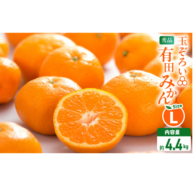 MK1042_݂ kTCY Gi  5kg ( e 4.4kg ) Lc݂ a̎RY Yn p ỷ݂za̎R11000ʕEt[c݂Ek