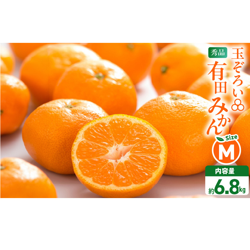 MK1045_݂ lTCY Gi  7.5kg ( e 6.8kg ) Lc݂ a̎RY Yn p ỷ݂za̎R18000ʕEt[c݂Ek