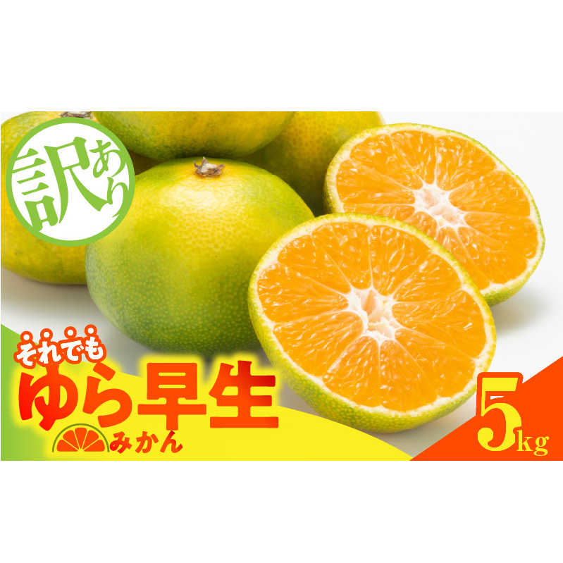 MK1068_訳あり ゆら早生 みかん 箱込 5kg ( 内容量 4.4kg ) サイズミックス 有田みかん 和歌山県産和歌山県湯浅町10000果物・フルーツみかん・柑橘類