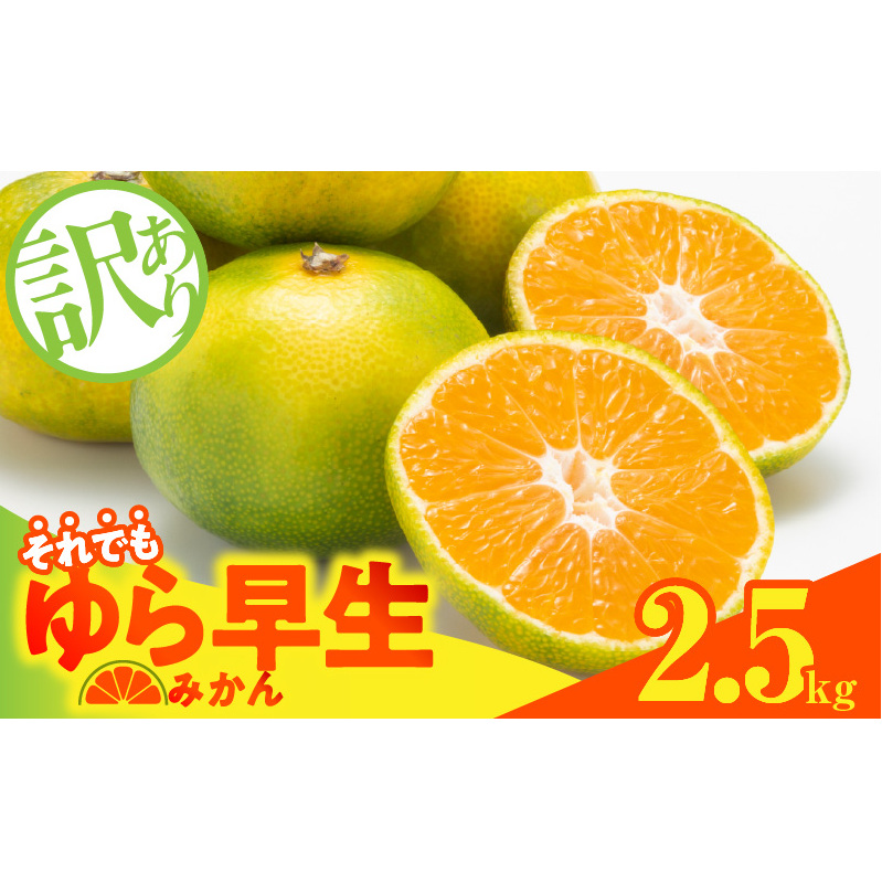 MK1069_訳あり ゆら早生 みかん 箱込 2.5kg ( 内容量 2.3kg ) サイズミックス 有田みかん 和歌山県産和歌山県湯浅町7000果物・フルーツみかん・柑橘類