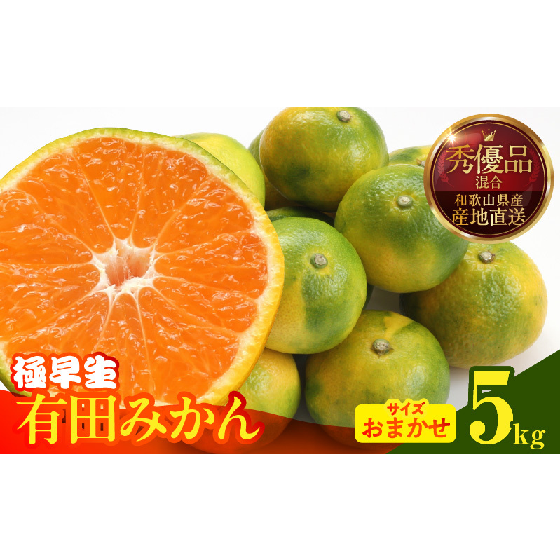 MK1072_みかん 極早生 箱込 5kg ( 内容量4.4kg ) おまかせサイズ(S/M/L)秀品・優品 の混合 有田みかん 和歌山県産和歌山県湯浅町11000果物・フルーツみかん・柑橘類