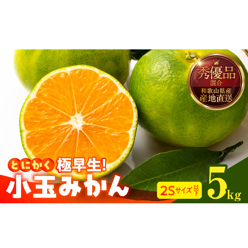 MK1076_とにかく小玉 みかん 極早生 箱込 5kg ( 内容量 4.4kg ) 2Sサイズ以下 秀品 優品 混合 有田みかん 和歌山県産和歌山県湯浅町10000果物・フルーツみかん・柑橘類
