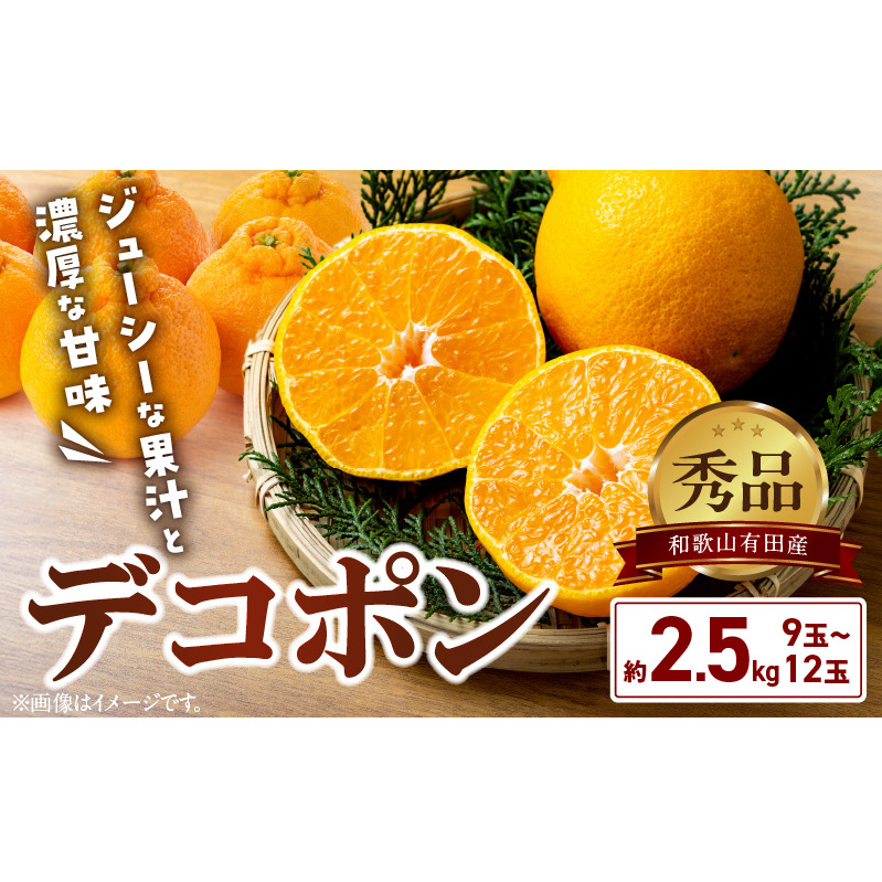 BD7008_【2026年先行予約】和歌山有田産 デコポン秀品のみ! 2.5kg(9〜12玉)和歌山県湯浅町13000果物・フルーツみかん・柑橘類