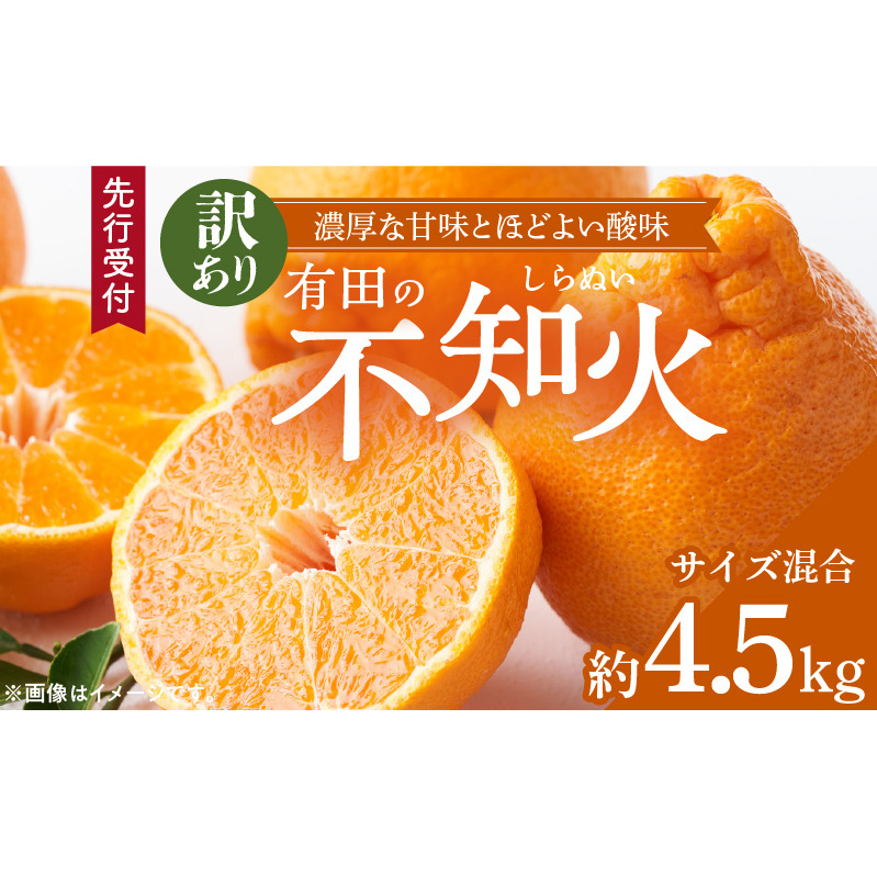 ZD92070_【2026年先行予約】【濃厚】有田の不知火 (デコポン) 【訳あり 家庭用】 4.5kg (サイズ混合)和歌山県湯浅町12000果物・フルーツみかん・柑橘類
