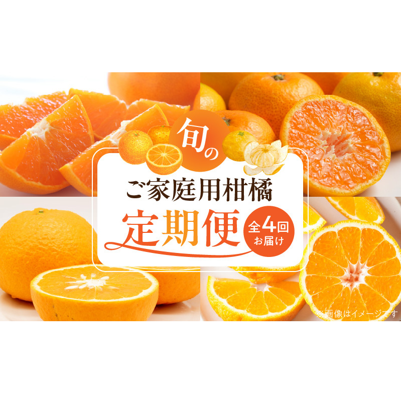 G60-T98_【発送月固定定期便】紀州和歌山産旬のご家庭用柑橘セット(みかん・不知火・せとか・清見)全4回和歌山県湯浅町49000果物・フルーツみかん・柑橘類