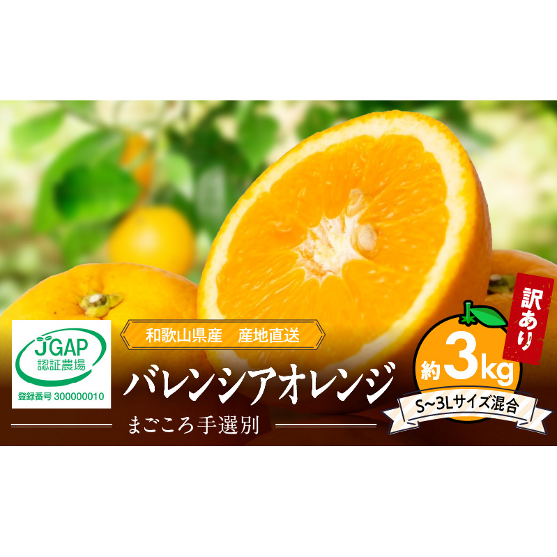 ZE6508_y2026Ns\za̎RY oVAIW 3kg ƒpa̎R10000ʕEt[c݂Ek