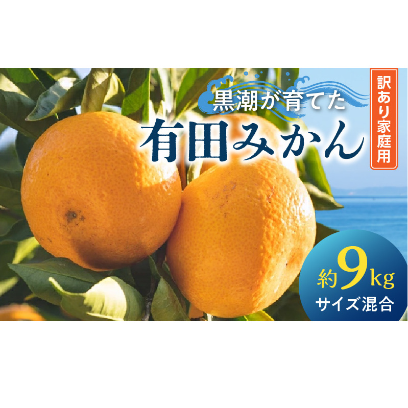 AE6111_黒潮が育てた有田みかん約9kg(サイズ混合)(訳あり 家庭用)和歌山県湯浅町13000果物・フルーツみかん・柑橘類