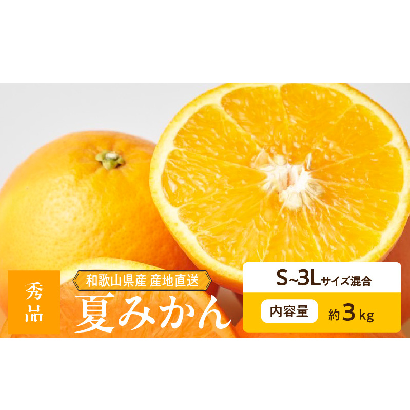 ZE6504_【2026年先行予約】和歌山県産 夏みかん 3kg 秀品和歌山県湯浅町13000果物・フルーツみかん・柑橘類