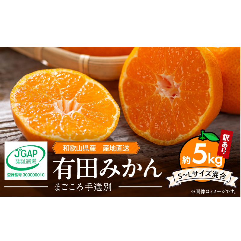 ZE6423_有田みかん 約5kg【家庭用】(S〜Lサイズ)【まごころ手選別】和歌山県湯浅町15000果物・フルーツみかん・柑橘類