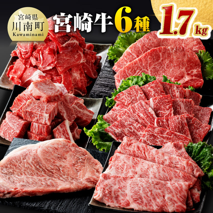 {苍6 lߍ킹1.7kg@[D00641]{茧쒬40000ZbgE؁EHHi