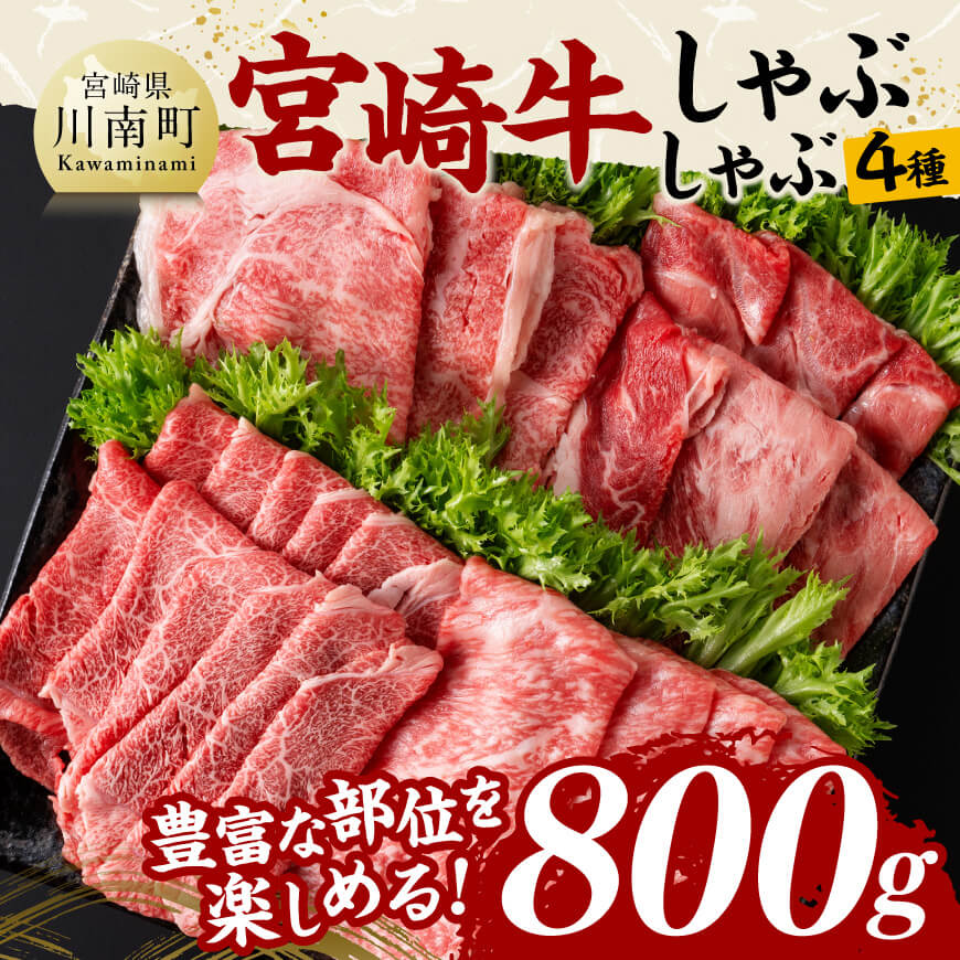 {苍JrēE؂藎ƂZbgv800@јa {苍 ē[D11405]{茧쒬23000