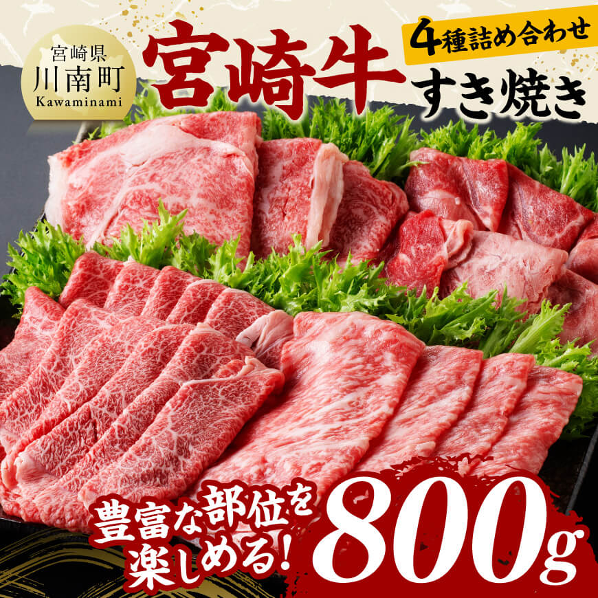 {苍ĂHהׂS퐷 v800y јa {苍  Ă Ԃ Ă Hה z[D11407]{茧쒬35000