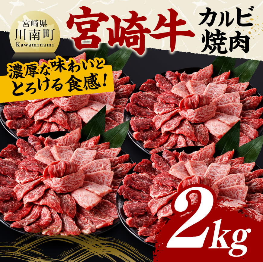 {苍Jrē2kg@  јa [C11412]{茧쒬49000