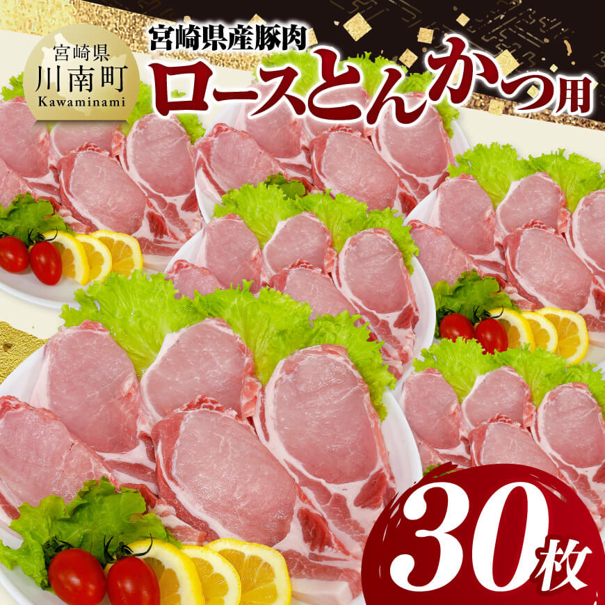 {茧Yؓ@[XƂ񂩂pi100gȏ×30j@ؓ   [C11620]{茧쒬22000