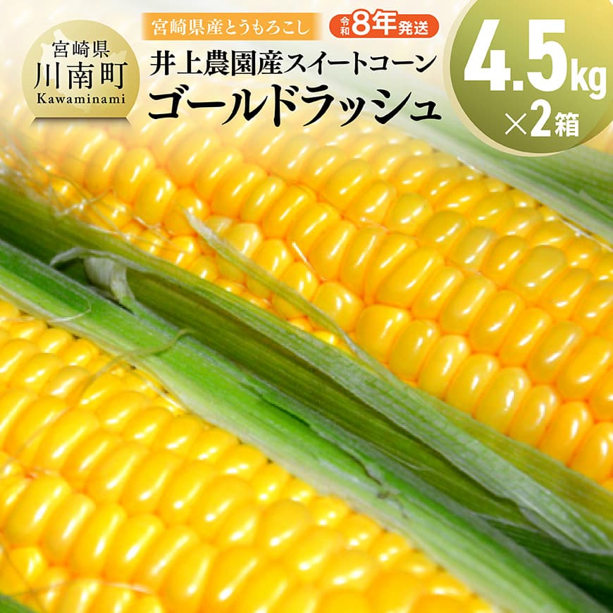 yߘa8Nz{茧YƂ낱@_YXC[gR[(S[hbV)4.5kg×2@Ƃ낱 XC[gR[[C03902]{茧쒬20000؁Ê