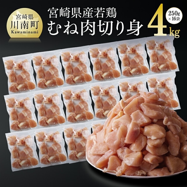 {茧Y{lؐgIQF 4kg (250g×16)  {  ނ˓[D00708]{茧쒬19000