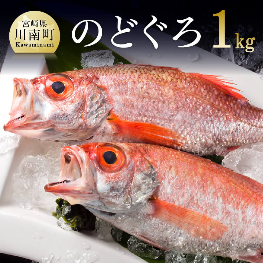 JYIÎǂ(AJc)P[D04407]{茧쒬46000ECYN