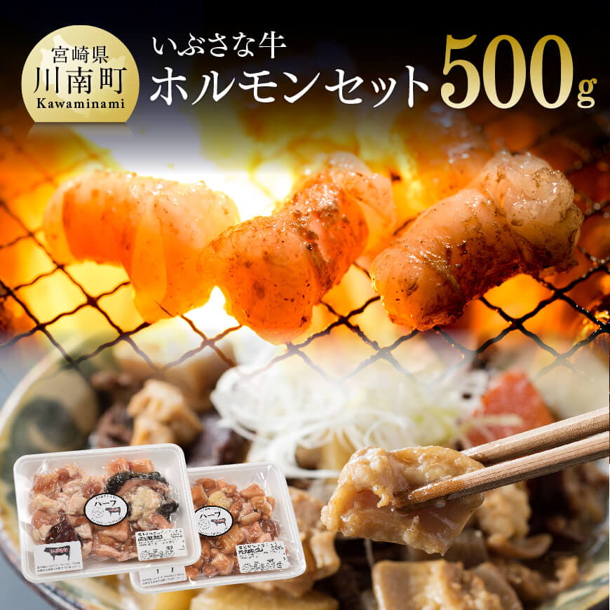 Ԃȋ@zZbg@ z[H0505]{茧쒬13000