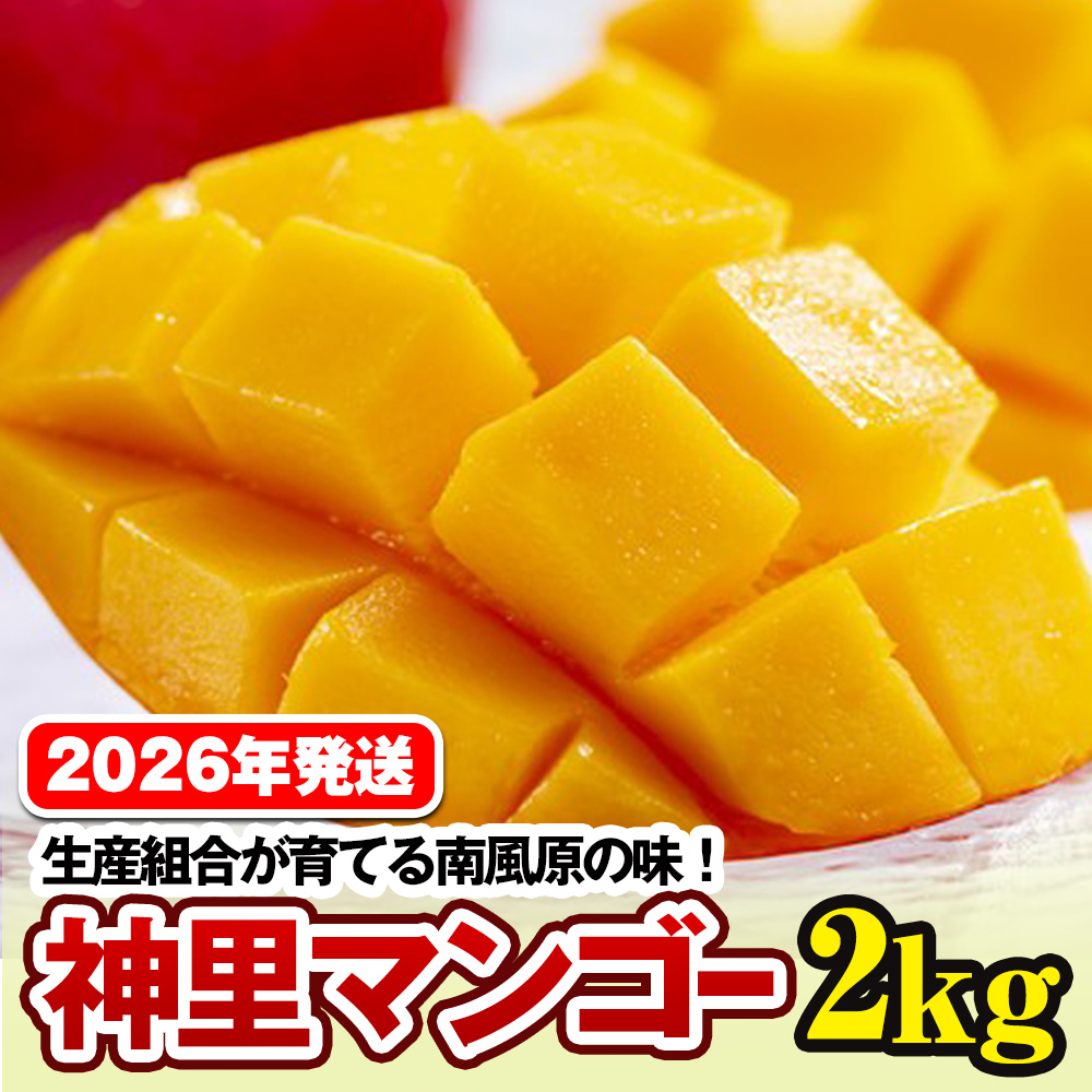 y2026NzYgĂ앗̖@_}S[2kgꌧ앗22200ʕEt[c}S[EpCibv