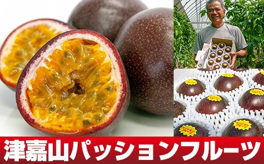 【2026年発送】津嘉山パッションフルーツ 約1kg沖縄県南風原町13700果物・フルーツ